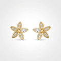 Golden Blossom Spark Earrings | Anti-tarnish