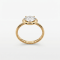 Celeste Halo Solitaire Ring | Anti-tarnish
